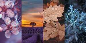 Four images side by side representing the seasons, highlighting seasonal fragrances.