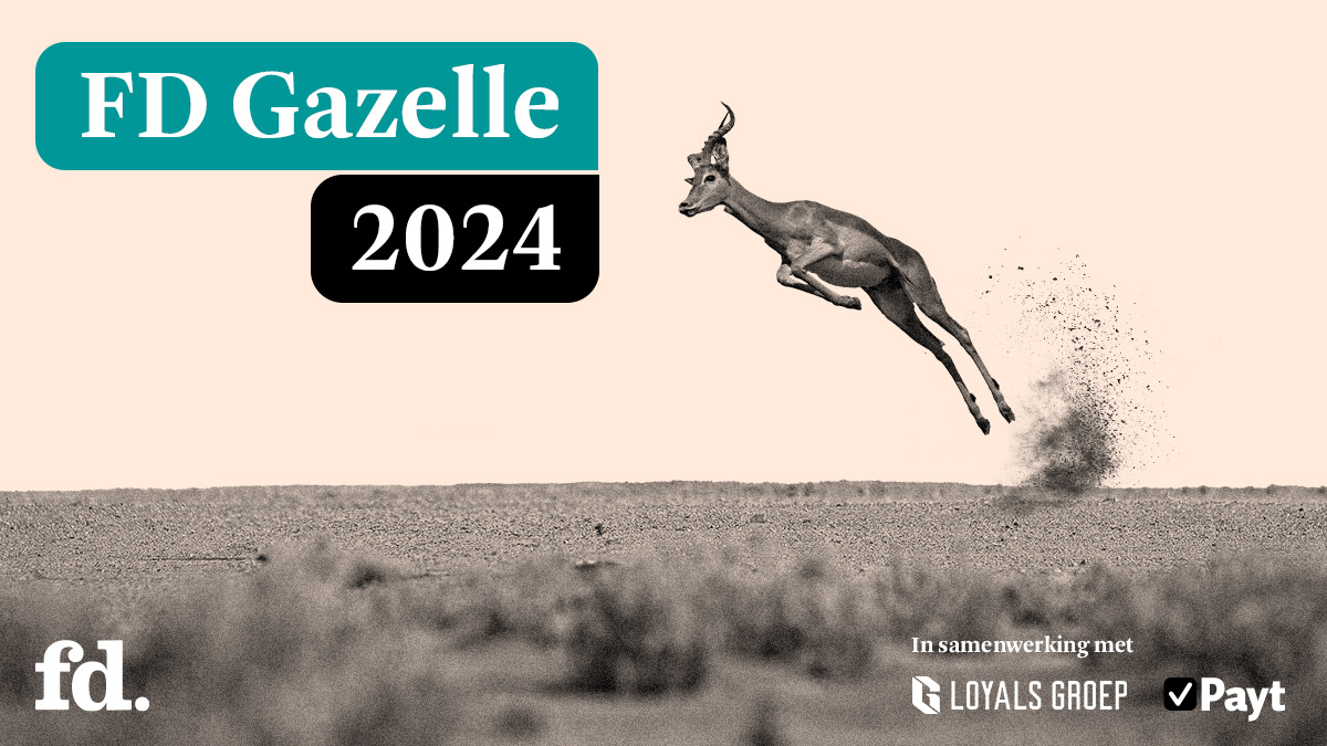 Sense Company is FD Gazelle 2024