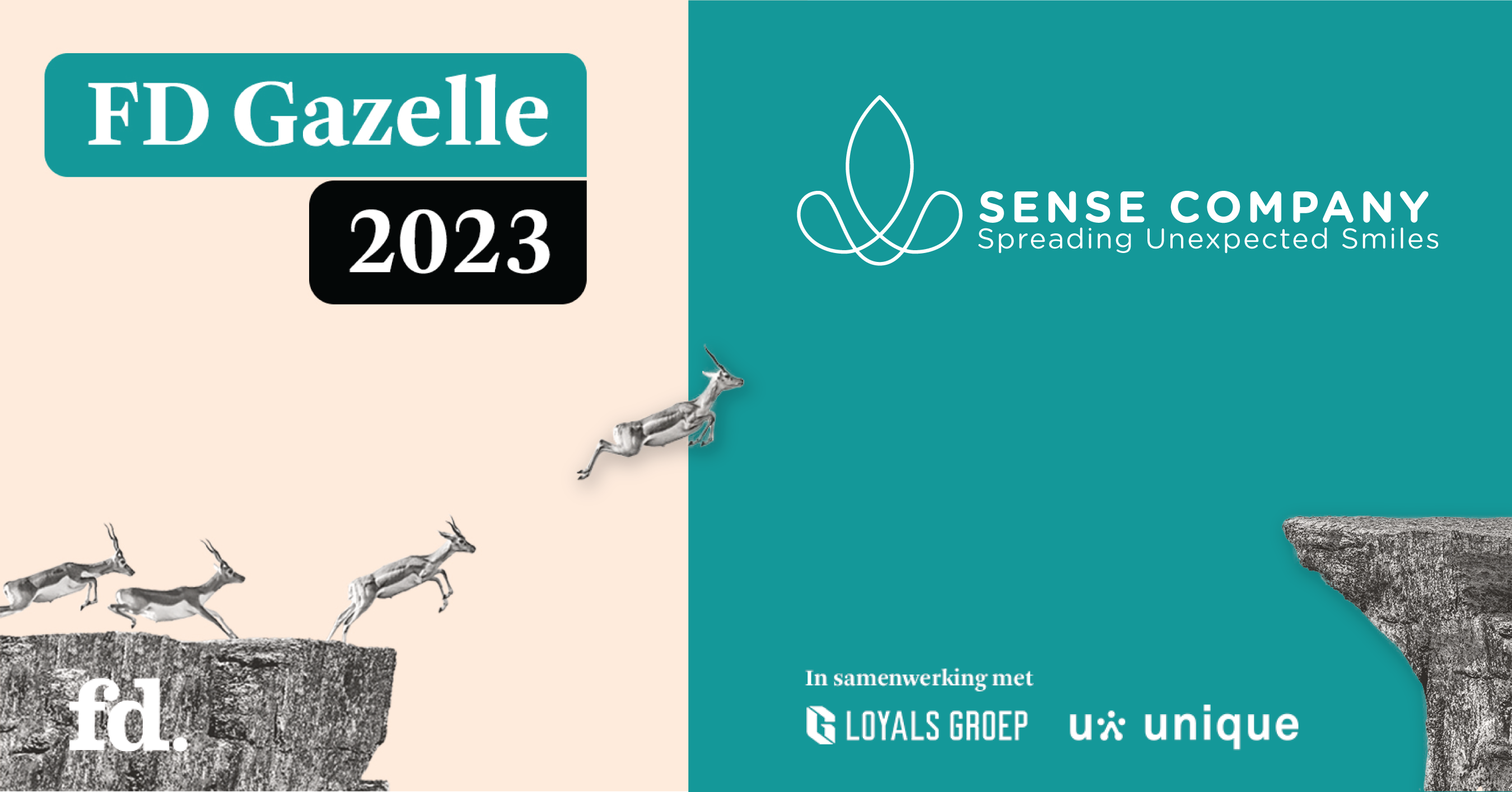 FD Gazelle 2023 Sense Company